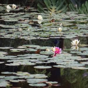 Meet your Posher, Kay